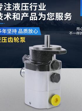 厂家供应劈木机22GPM劈木机泵劈木机劈柴机配件树根树墩劈木机泵