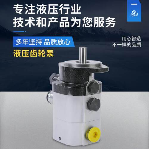 厂家供应劈木机22GPM劈木机泵劈木机劈柴机配件树根树墩劈木机泵