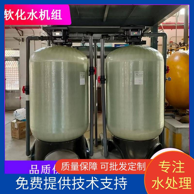 全自动软化水设备去水垢双阀双罐交替再生洗车循环水树脂罐