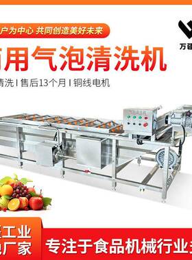 鸭梨雪花梨气泡清洗商用水果清洗机秋梨膏加工压气泡清洗