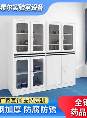 全钢药品柜器皿柜带锁实验室仪器柜化验室样品柜通风化学品试剂柜