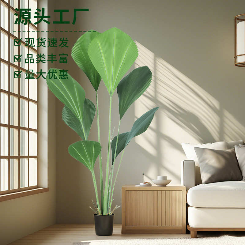 盆栽绿苏门答腊棕北绿摆件风欧风落地植假植室内仿真仿真ins橱窗