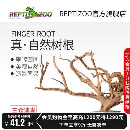 瑞皮Reptizoo饲养缸睫角树栖爬虫造景爬宠天然树根鱼缸杜鹃根摆件