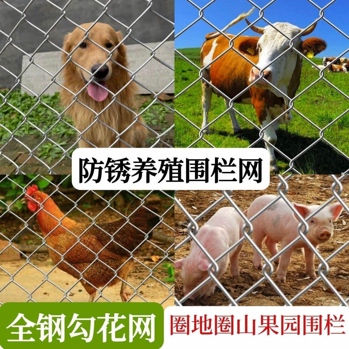 镀锌勾花网 钢丝网 养殖猪牛羊围栏网 果园防护网 鱼塘围栏网