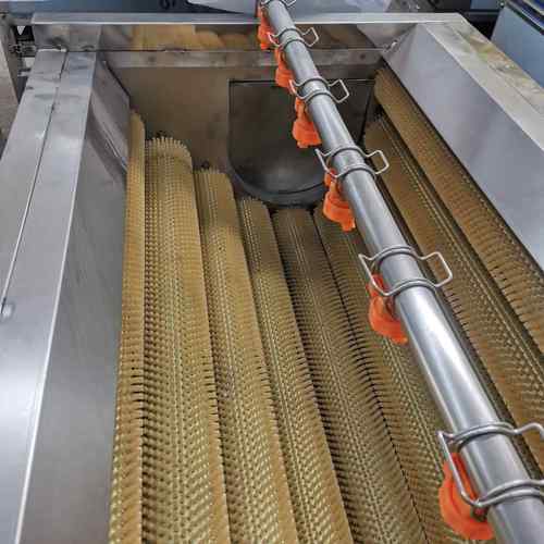 毛辊清洗机土豆红薯去皮清洗机生蚝鲍鱼清洗机器萝卜芋头清洗设备