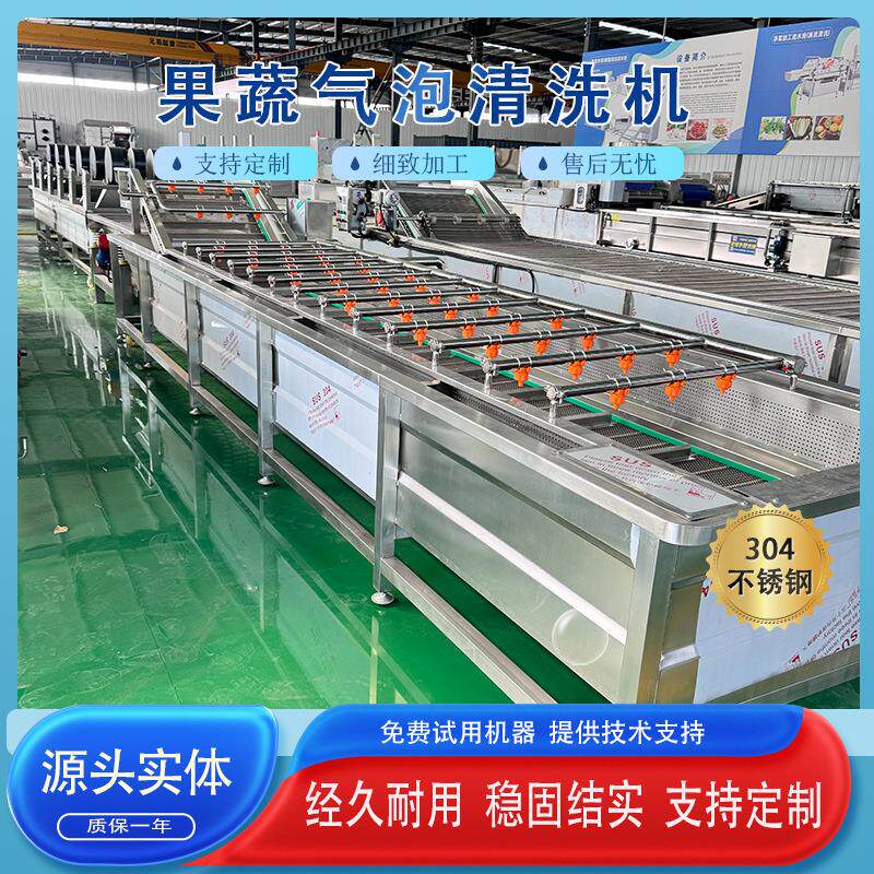 速冻豆角气泡清洗机竹笋去杂鼓泡设备鱼片清洗机
