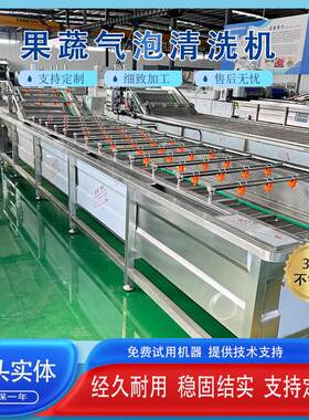 速冻豆角气泡清洗机竹笋去杂鼓泡设备鱼片清洗机