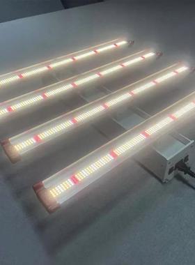 工型厂出货0QFK60dWle植物灯温室花园小多肉LED植物生长灯蔬菜水