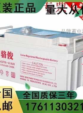 骆俊12V65AH电池 UPS免维护蓄电池 6-GFM-65 UPS/太阳能/医疗设备