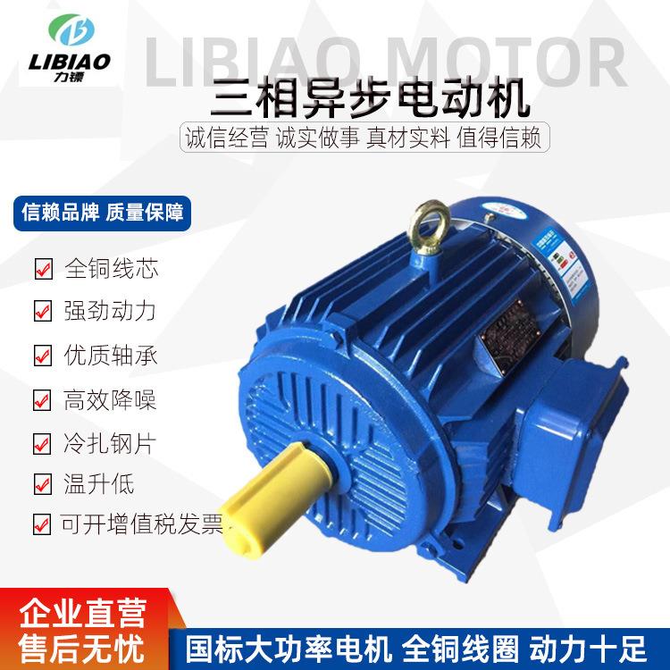 8级现货大功率电动机Y系列132/160/185/200/220W380V机械电机
