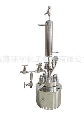 供GSH1L耐高温高压应釜加热应磁反应子搅拌反釜