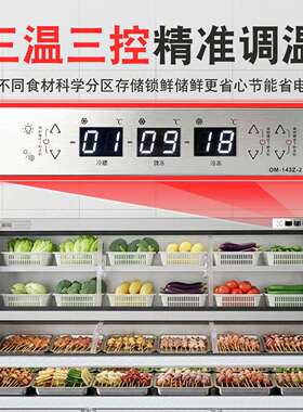 雪二五阶梯冰台三阶梯烧烤展示柜档冷藏冷冻BCD饭小店柜点菜商用