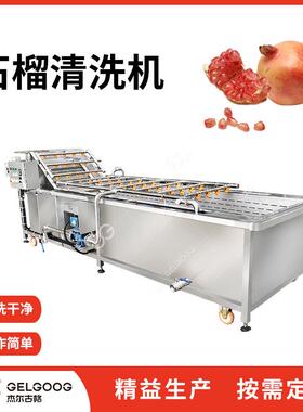 自动洗石榴设备气泡洗果机器石榴汁前处理加工机械石榴清洗机