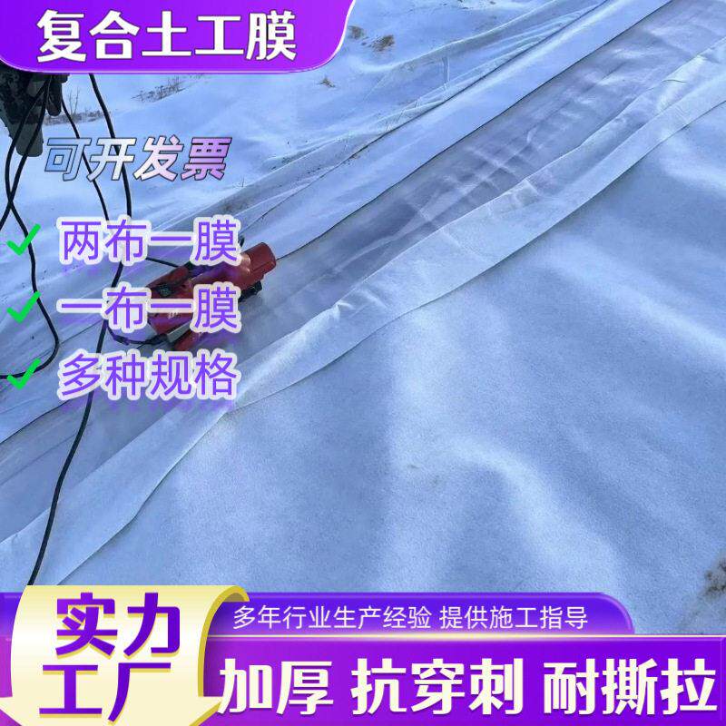 两布一膜复合土膜500g河道治理蓄水池防渗抗老化防漏水复合土工膜