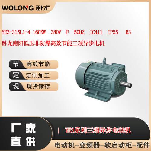 YE3-315L1-4160W380VB3卧龙南阳低压非防爆电机