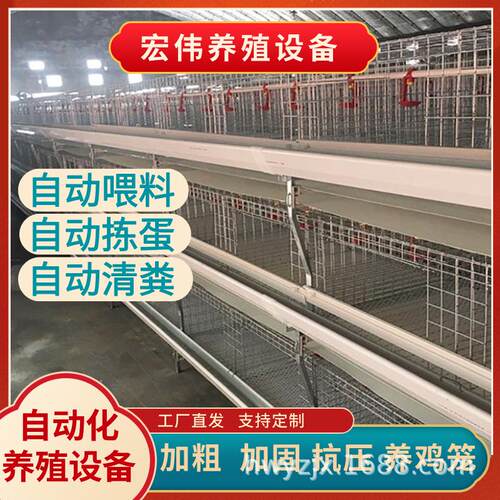 现代化养殖厂选自动喂鸡设备可行走式饲喂设备宏伟h型鸡笼喂料