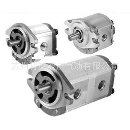 齿轮油泵BHP2AOD16C1L1 BHP2A0D8C0L1 BHP2AOD14C1R1