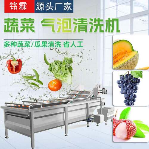 哈密瓜葡萄清洗机不锈钢果蔬清洗机荔枝气泡清洗机厂家供应