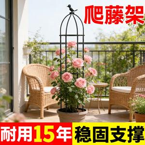 花架爬藤支架花盆园艺支柱月季铁线莲球兰绿萝植物防倒攀爬支撑杆