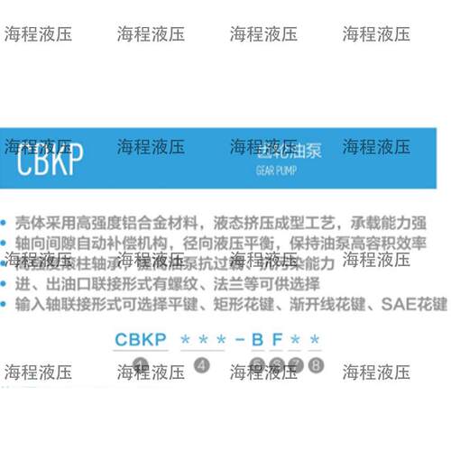 CBKP系列齿轮油泵单联泵C齿轮泵