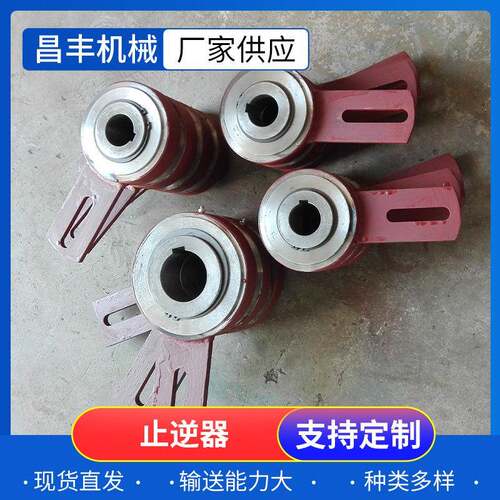 厂家供应输送设备配件止逆器逆止器提升机止逆装置