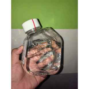 赛默飞无核酸酶水ienvitRogn distill edwater 高10977015糖原装