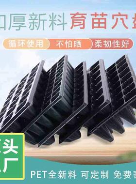 整箱育苗盘穴盘育苗盆种植蔬菜科禾塑料秧盘农用育种扦插盒托盘