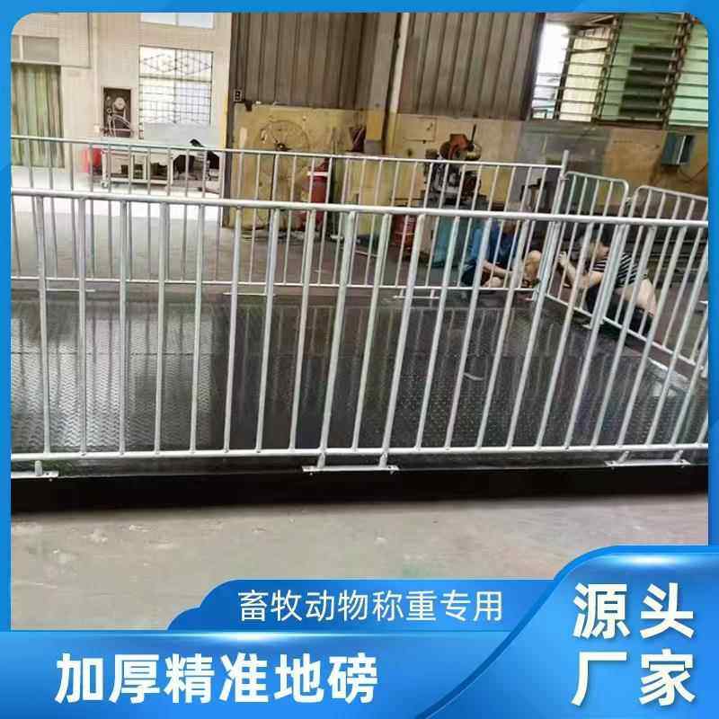 厂家工业行车地磅围栏秤悬浮方管畜牧秤养殖场秤猪牛防抖动地磅秤