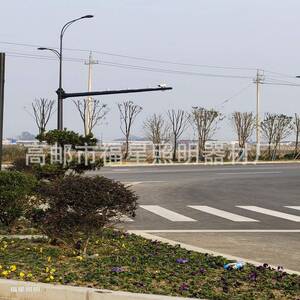 红绿灯监控路灯一杆多用 综合路灯监控杆卡口安装照明使用八角杆