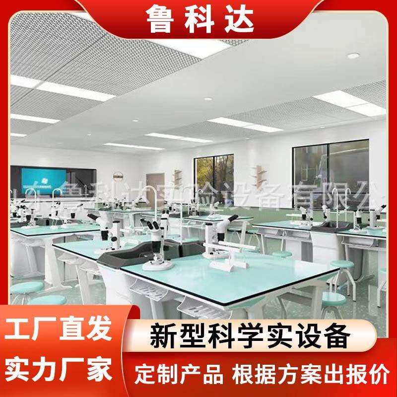 物理化学试验台中小学生铝塑科学研究理化生实验桌吊装试验台桌