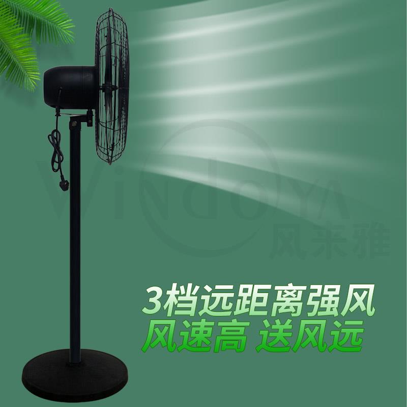 风来雅工业电风扇壁扇大功率落地扇商用牛角风扇吹甲醛大风力