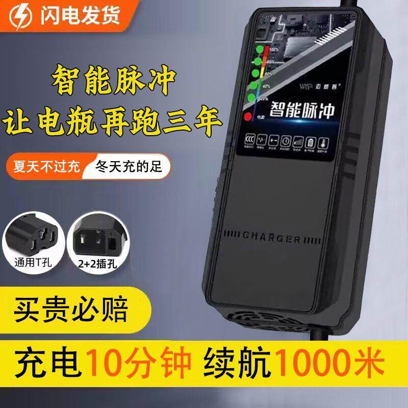 电动车电瓶充电器48V12AH60V20A72V适用于 于超威天能三轮铅酸石