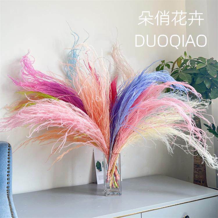 龙须草永生花白日焰火diy材料包干花家居装饰婚庆梦幻草天然真花
