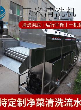 全自动连续式清洗机 全套加工清洗机械设备 多功能玉米清洗机