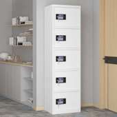 储物柜电子密码 12钢制密码 锁防盗多门柜灰白色五门 DJG 臻远ZY