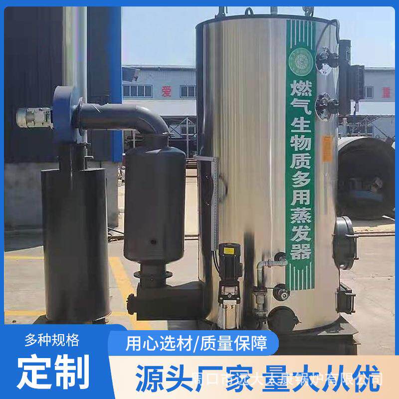 生物质蒸汽发生器立式智能2吨3吨公路养护服装熨烫燃煤蒸汽锅炉