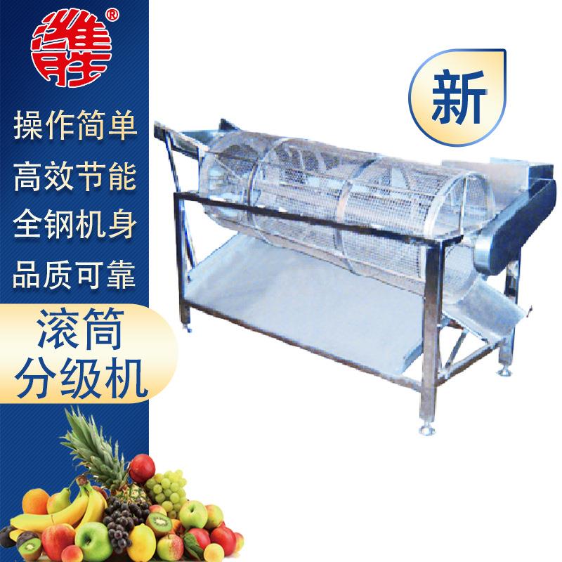 果蔬滚动式筛选机设备不锈钢滚动式圣女果筛选机鲜大枣筛选机