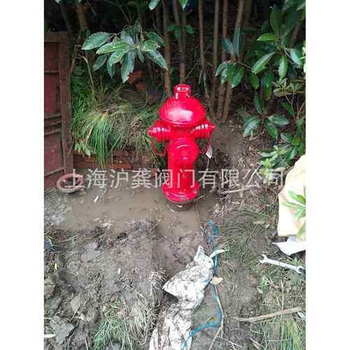 鼎梁室外栓山东鼎梁地上栓室外消火栓水泵接合器SS100/65-1.6