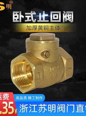 全铜卧式止回阀铜止逆阀苏明水表前止逆阀4分20水泵止逆阀1寸dn25