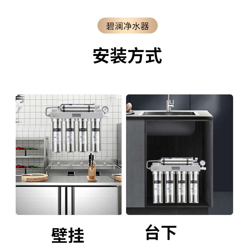 碧澜奶茶店专用咖啡馆制冰机商用家用直饮厨房超滤净水器五级过滤
