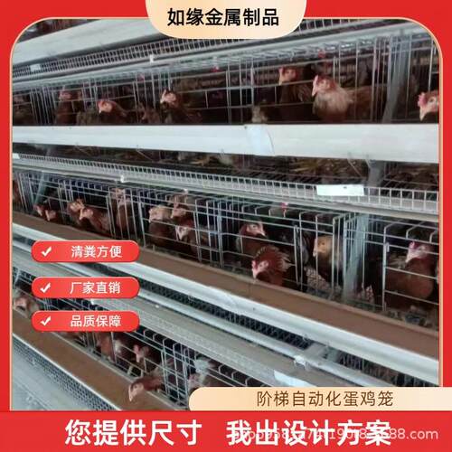 大型鸡舍三层四层白槽绿全自动阶梯蛋鸡笼自动化适配热镀锌防锈