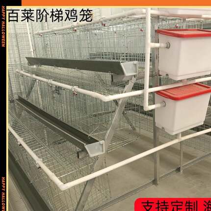 耐用型阶梯蛋鸡笼使用寿命长笼底加密防漏蛋通风性好降低鸡群