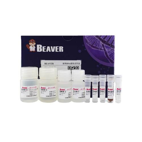 海狸BEAVER Dextran葡聚糖纳米磁珠货号70110-5 5mL 1mg/ml 15nm
