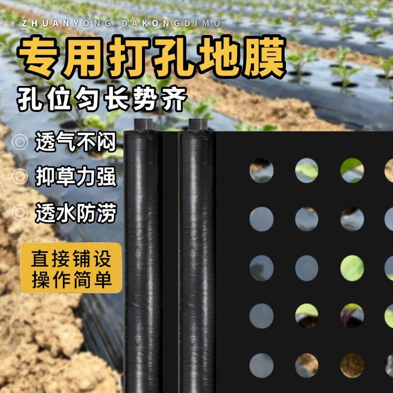 打孔地膜农用种植种菜专用塑料薄膜防草有孔黑地膜辣椒大蒜玉米