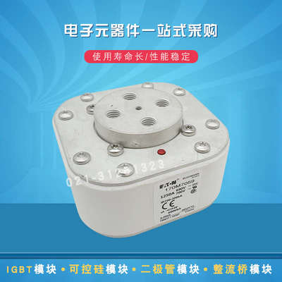 巴斯曼熔断器保险丝170M7055 7057 7058 7059 7060 7061 7062现