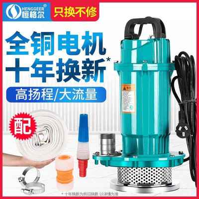 潜水泵家用220排V小型抽水泵扬程抽水化机高粪池抽粪污泵无品牌/