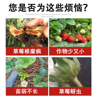 草莓灌根药】草莓专用药肥料救黄萎病根腐灰霉杀菌剂
