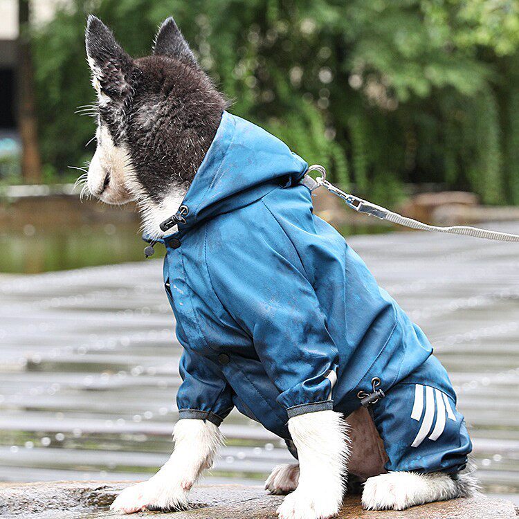 狗狗雨衣全包四脚防水雨披泰迪博美雨天宠物衣服小型中型犬比熊