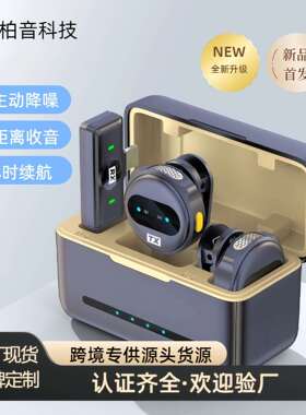 DX10新款私模一拖二无线领夹麦克风直播Vlog降噪充电仓迷你麦克风