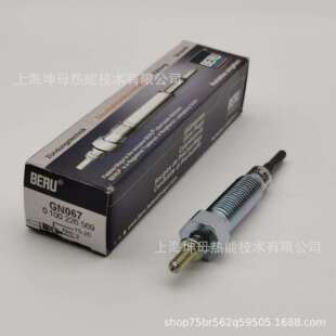 BERU/贝鲁电热塞GN0670100226569